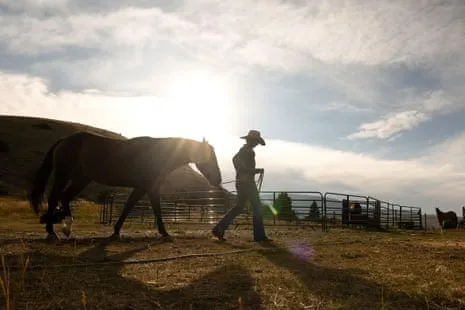 Meet the American Women Ranchers Reshaping Contemporary Ranching