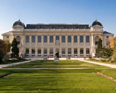 Historic Golden Samples Taken in Audacious Heist at France's Natural History Museum